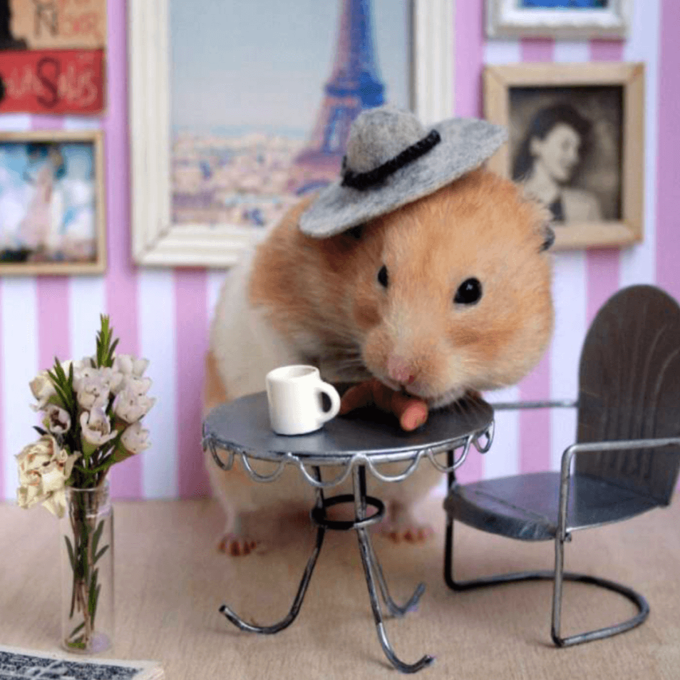 Martin Sees the World