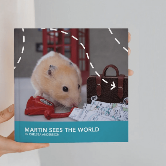 Martin Sees the World